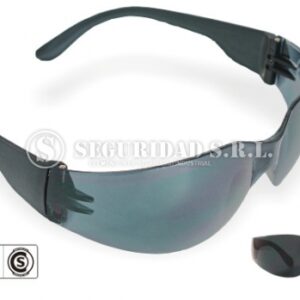 Anteojos Eco Line Gris HC Libus