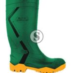 calforevolutionverde5002