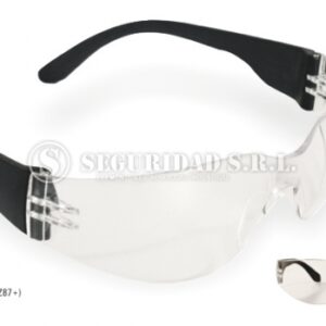 Anteojos Eco Line Transparente HC Libus